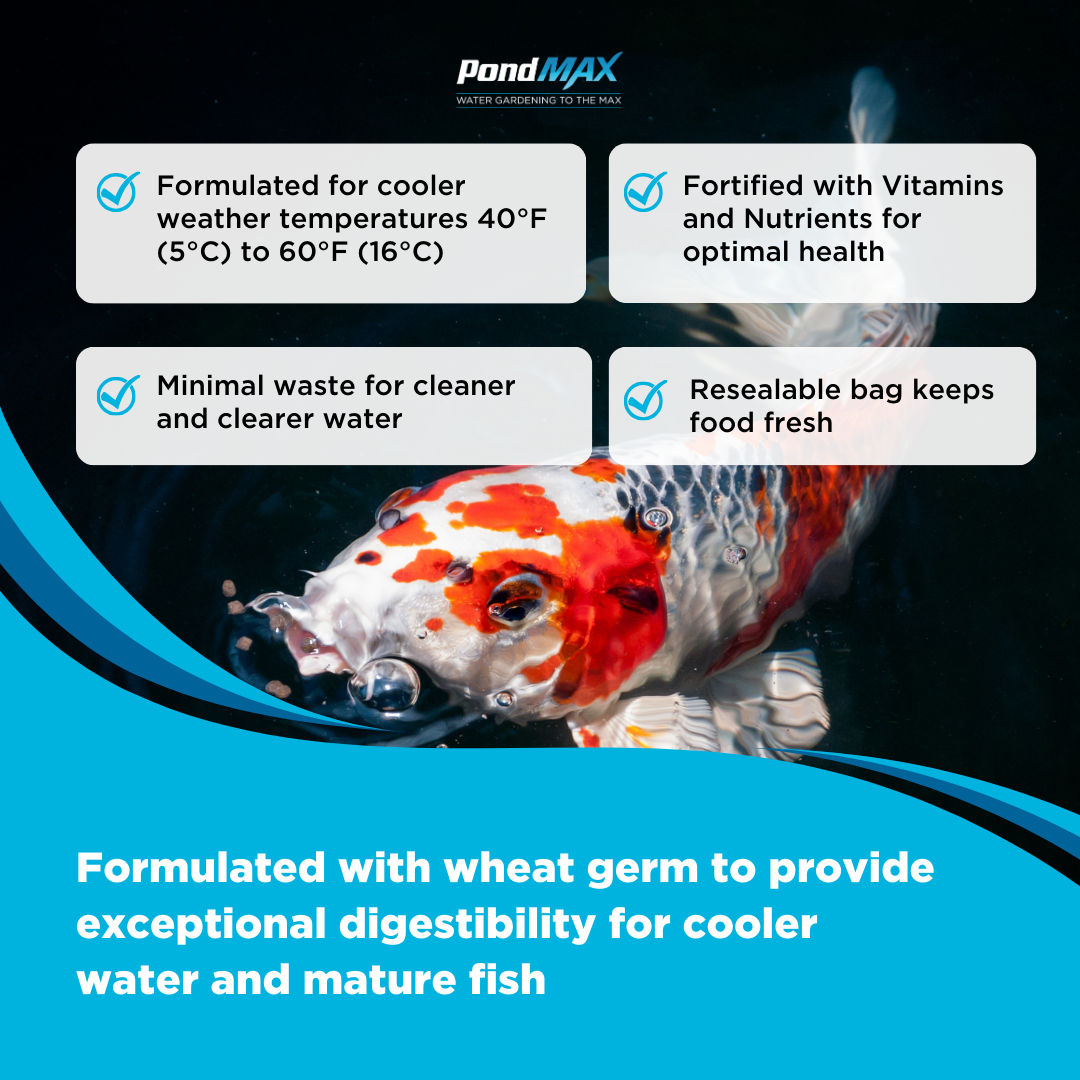 PondMax Premium Spring & Fall Wheat Germ Fish Food