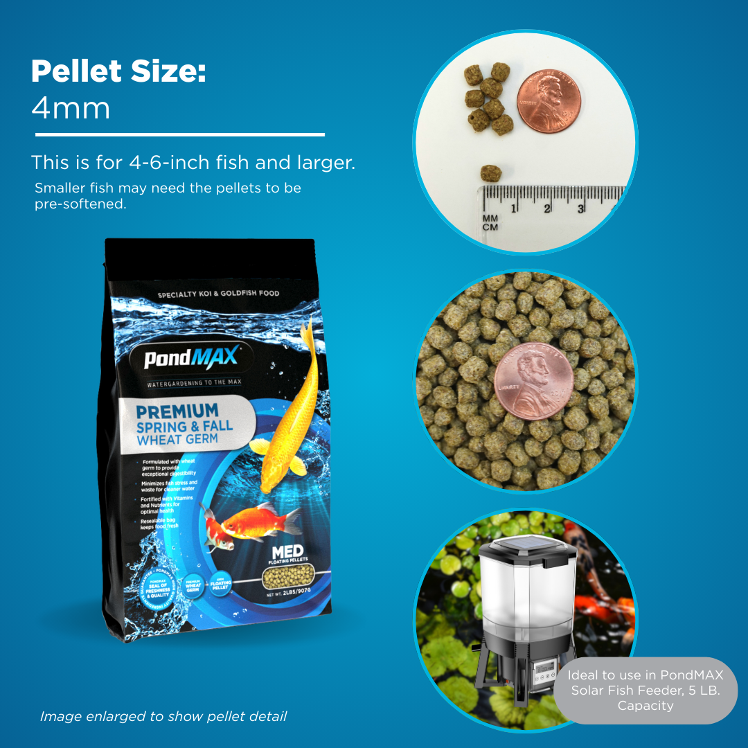 PondMax Premium Spring & Fall Wheat Germ Fish Food