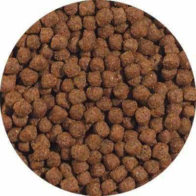 Blue Ridge Cool Water Wheat Germ Formula Koi & Goldfish Food