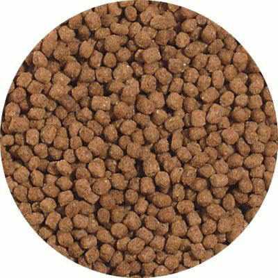 Blue Ridge Mini Pellet Growth Formula Koi & Goldfish Food