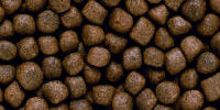 Saki Hikari Multi-Season Formula - Medium Pellet